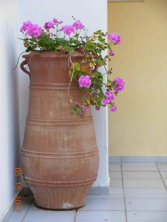 Marilena Hotel อิปโซส ภายนอก รูปภาพ